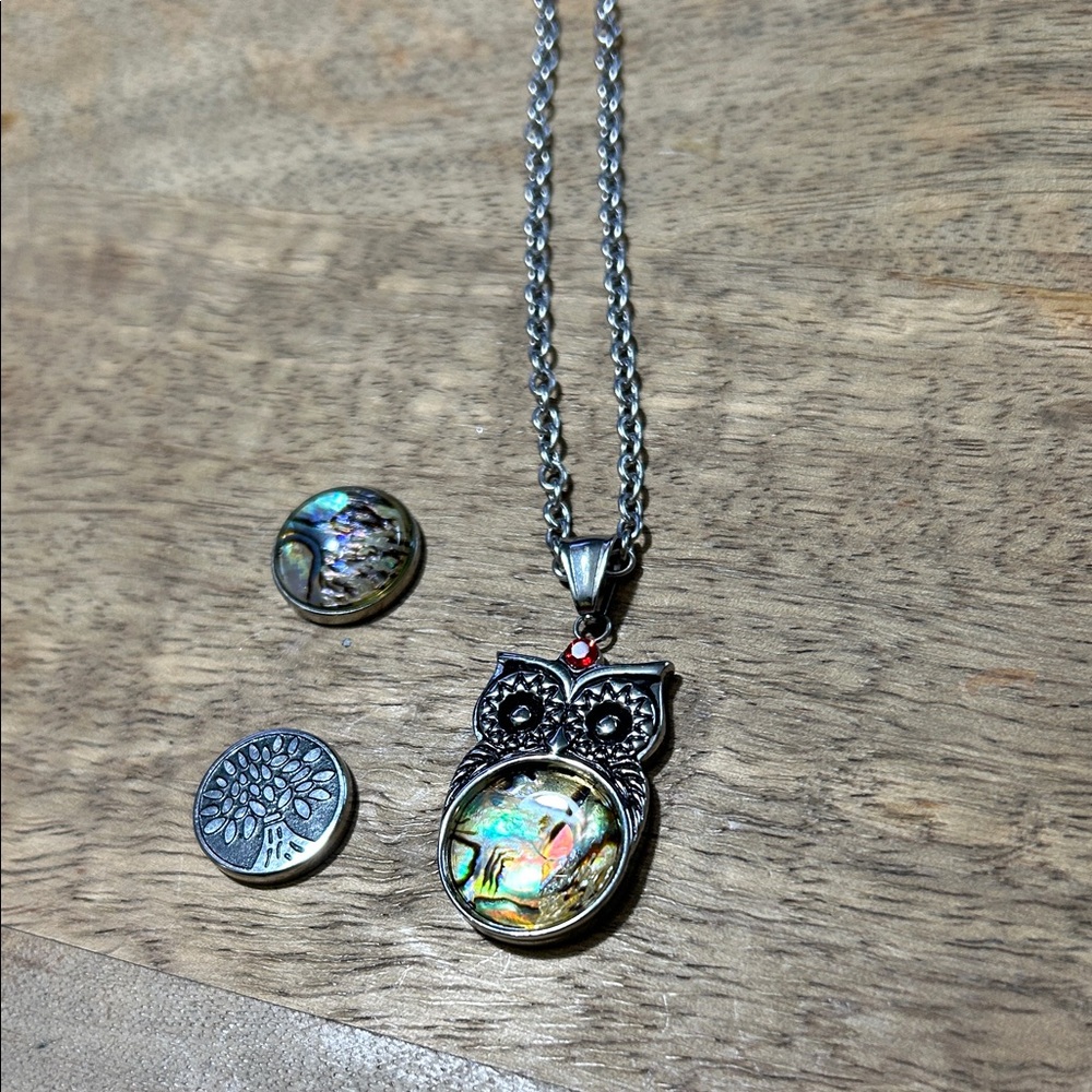 Silver Owl Pendant Necklace with magnetic switch outs - Picture 3 of 11